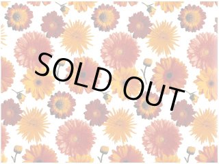 れい　ご購入転写紙 70726f647563742f32303231303231