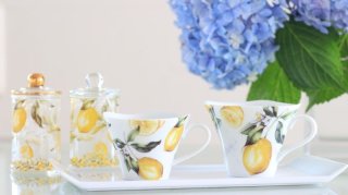 Amazon.co.jp: 白磁 おめかしうさぎ限定品ポーセラーツ : おもちゃ
