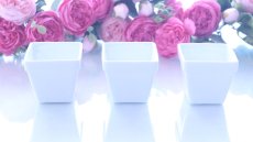 画像1: ☆セール品☆□白磁□1個あたり100円(3個セット) ミニ小鉢　アウトレット品 | ポーセラーツ白磁 (1)
