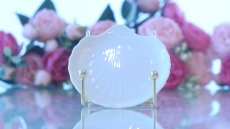 画像1: 特価品□白磁□シェルミニプレート　TYPE:B　 アウトレット品　| 　インスタグラム (1)