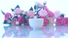 画像1: 特価品□白磁□湯飲み（NB）　  SAL_YU_B  アウトレット品　| 　インスタグラム (1)