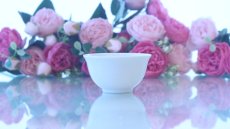 画像1: 特価品□白磁□湯飲み  SAL_YU_A  アウトレット品　| 　インスタグラム (1)