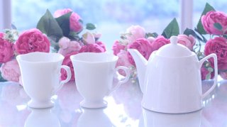 ポーセラーツ転写紙と白磁の全てが揃う専門店 Salon de lily