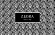 画像2: ZEBRA - Animalブラック -  